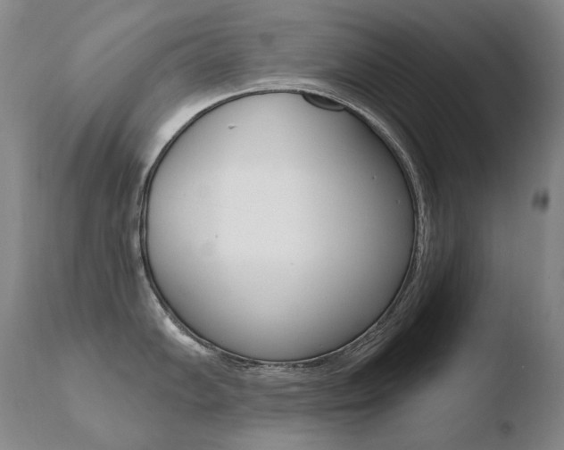 X0000110671102200906121055