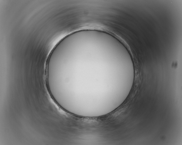 X0000110671103200906121055