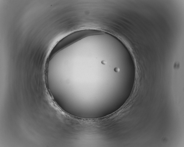 X0000110671104200906121055