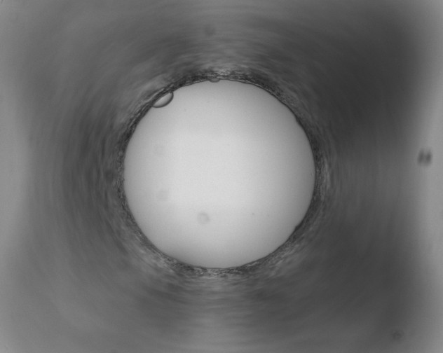 X0000110671105200906121054