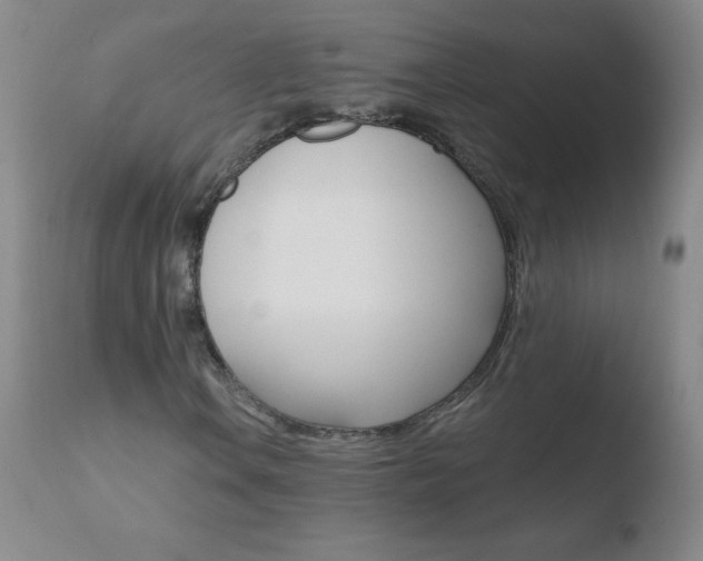 X0000110671106200906121054