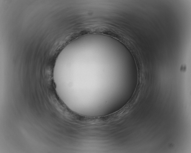 X0000110671108200906121054