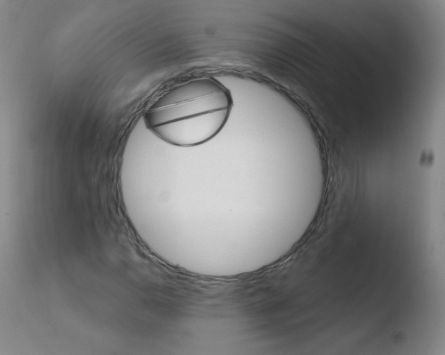 X0000110671110200906121054