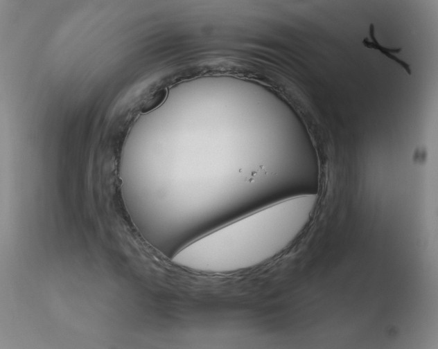 X0000110671111200906121054