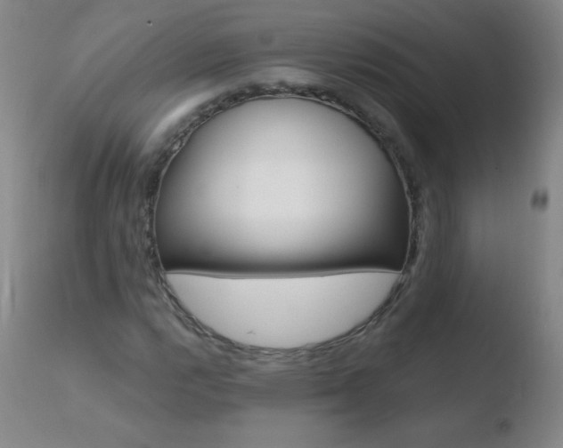 X0000110671112200906121054