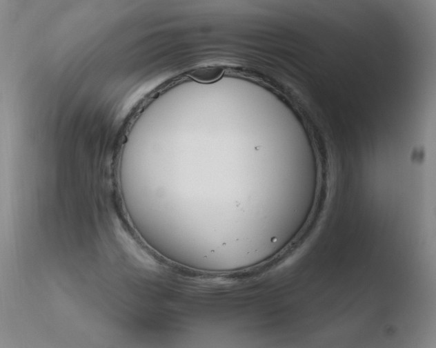 X0000110671113200906121054