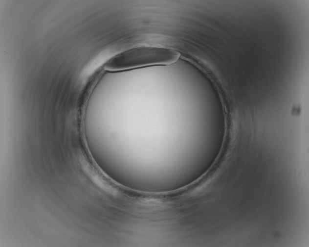 X0000110671114200906121054
