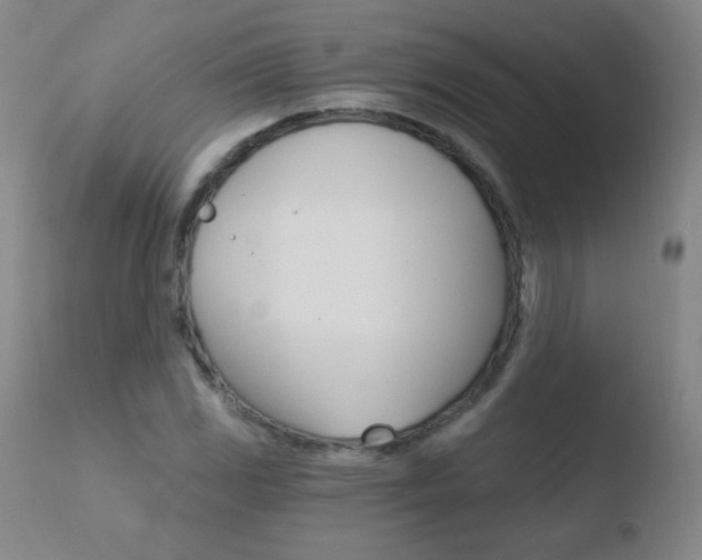 X0000110671117200906121054