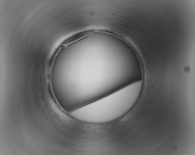 X0000110671124200906121054