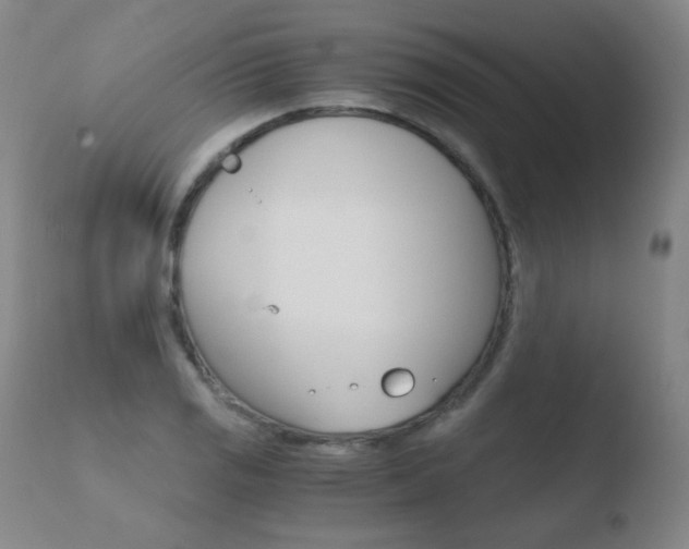 X0000110671125200906121054