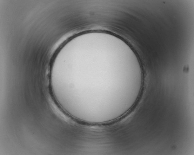 X0000110671126200906121054