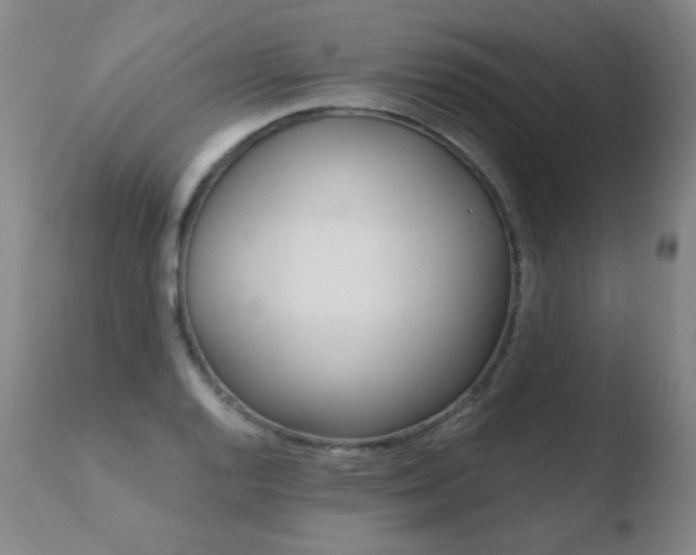 X0000110671128200906121054