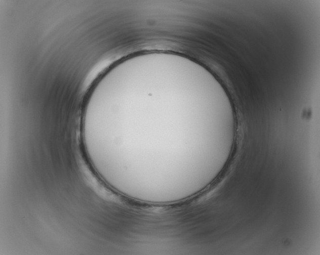 X0000110671130200906121054