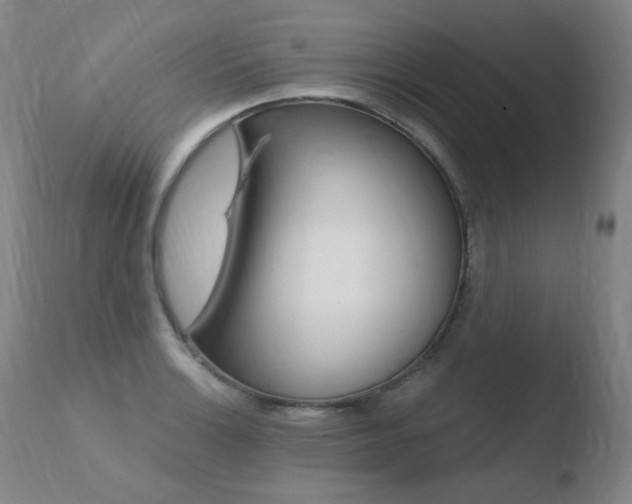 X0000110671132200906121054