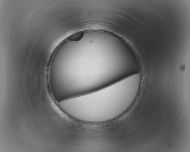 X0000110671134200906121054