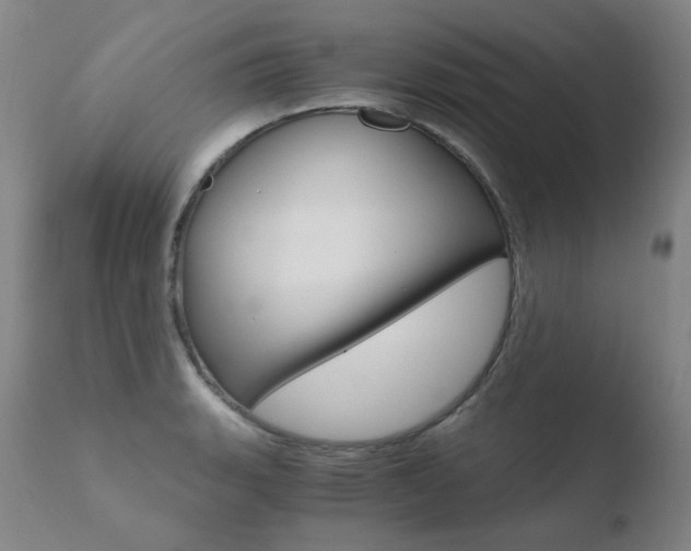 X0000110671135200906121054