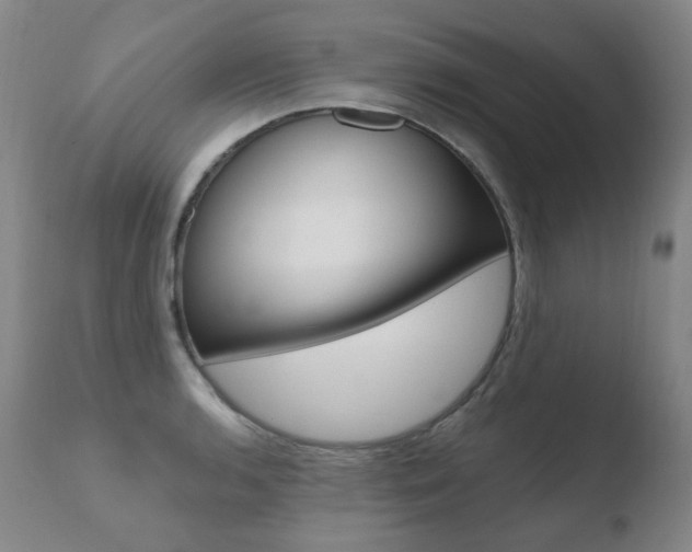 X0000110671136200906121054