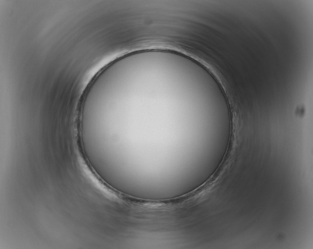 X0000110671142200906121054