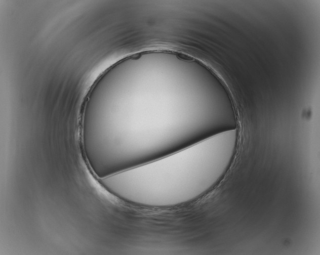 X0000110671143200906121054