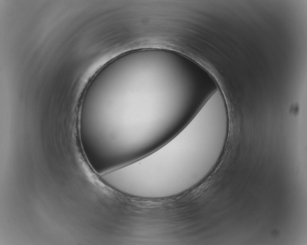 X0000110671144200906121054