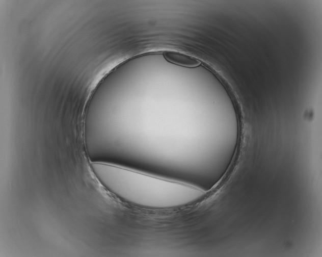 X0000110671145200906121054