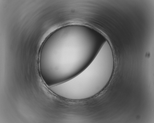 X0000110671146200906121054