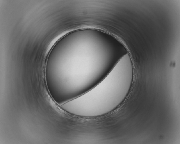 X0000110671148200906121054