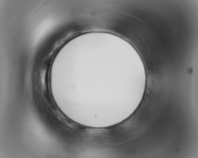 X0000110671150200906121054