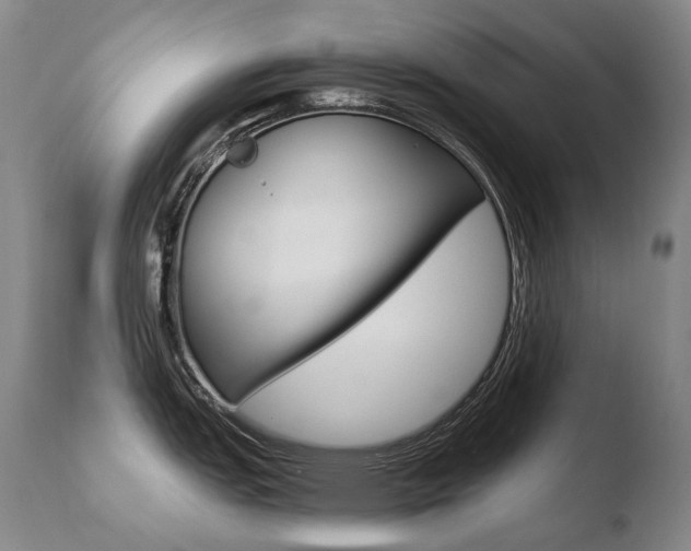 X0000110671151200906121055