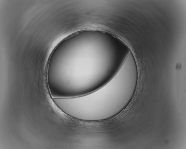 X0000110671152200906121055