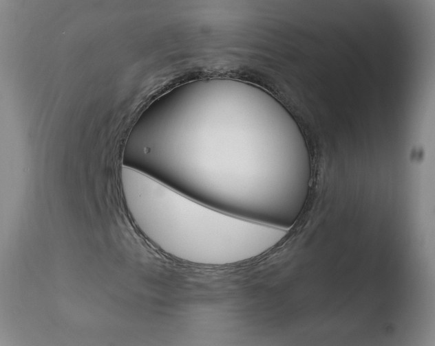 X0000110671153200906121054