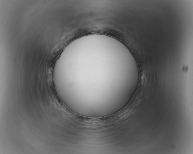 X0000110671156200906121054