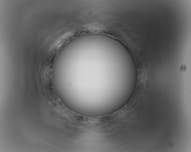 X0000110671157200906121054