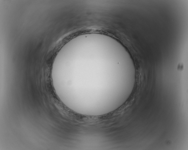 X0000110671158200906121054