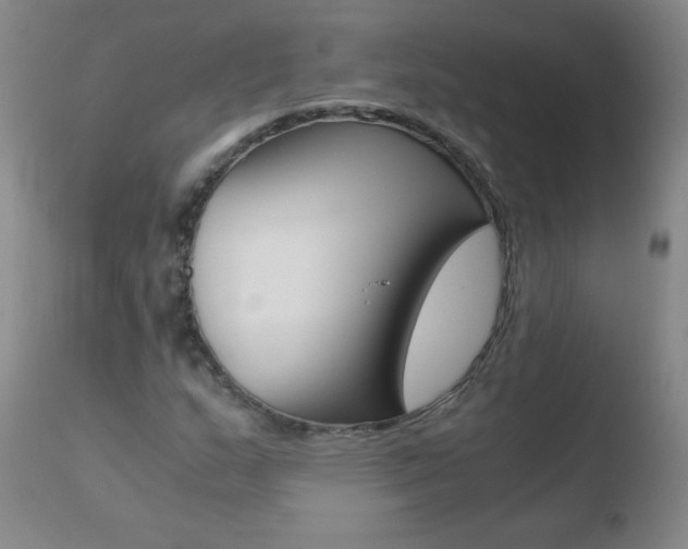 X0000110671159200906121054