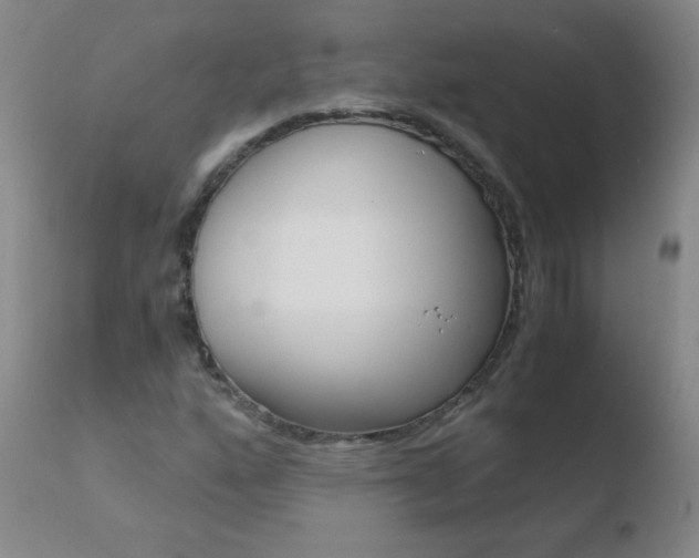 X0000110671160200906121054