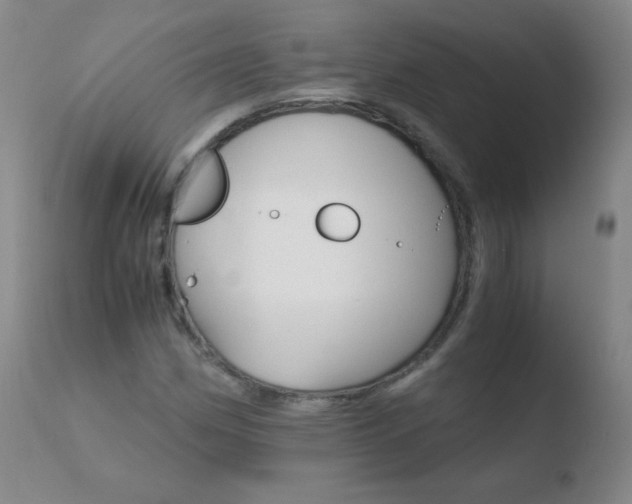 X0000110671162200906121054