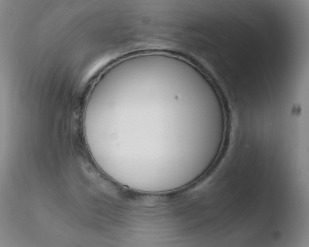 X0000110671163200906121054