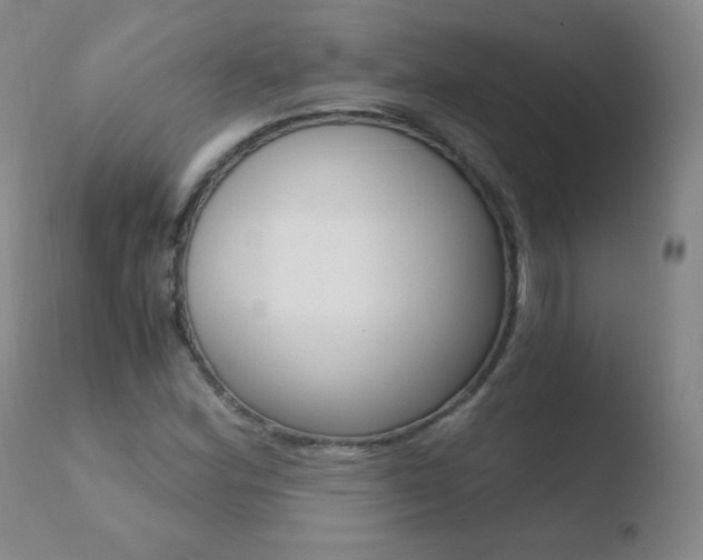 X0000110671164200906121054