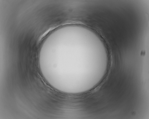 X0000110671165200906121054