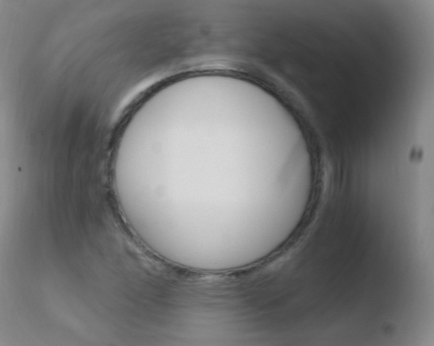 X0000110671166200906121054