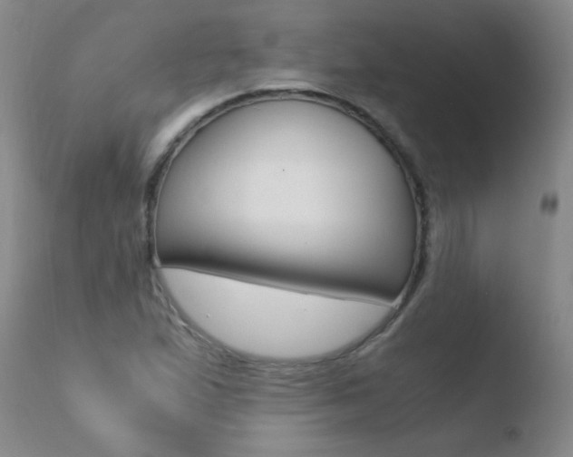 X0000110671167200906121053