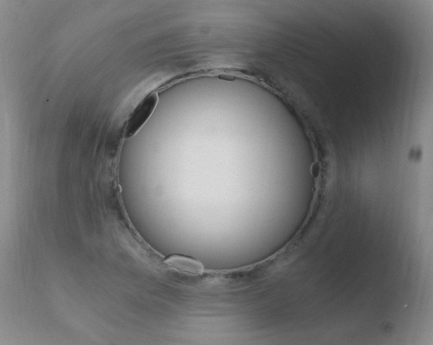 X0000110671169200906121053