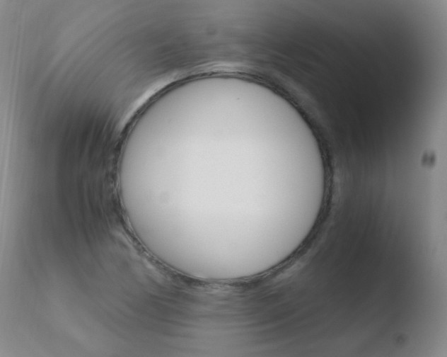 X0000110671170200906121053