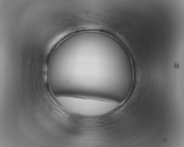X0000110671171200906121053