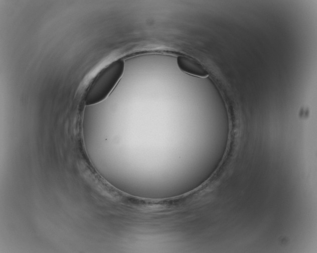 X0000110671173200906121053