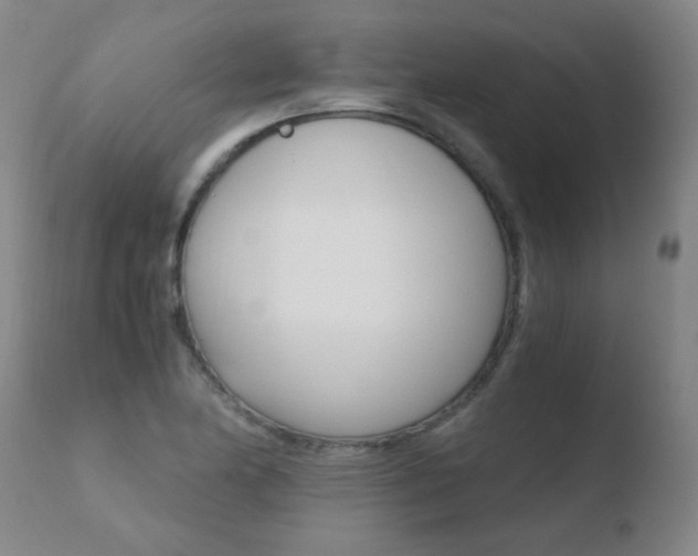 X0000110671174200906121053
