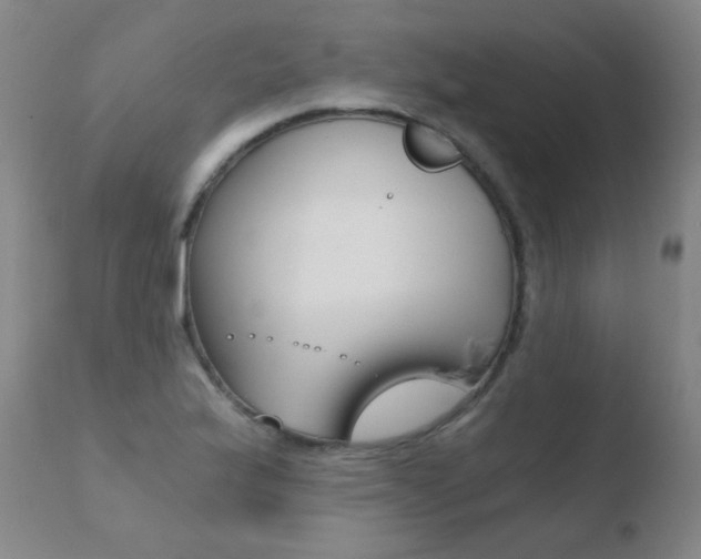 X0000110671175200906121053