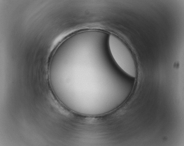 X0000110671176200906121053