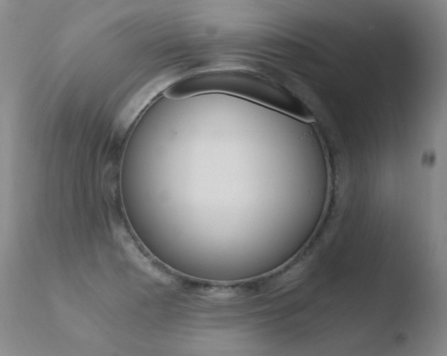 X0000110671177200906121053